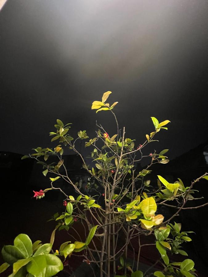 Sunflower Homestay Hai Phong Kültér fotó